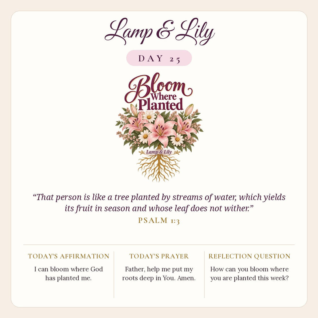 Lamp & Lily Day 25: Bloom Where Planted devotional graphic featuring pink lilies and daisies with golden roots, lettered Bloom Where Planted, with Psalm 1:3.